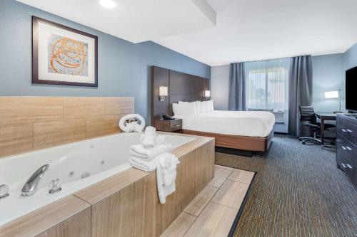 威斯康星戴尔Wingate by Wyndham Wisconsin Dells Waterpark的酒店客房配有一张床和浴缸。