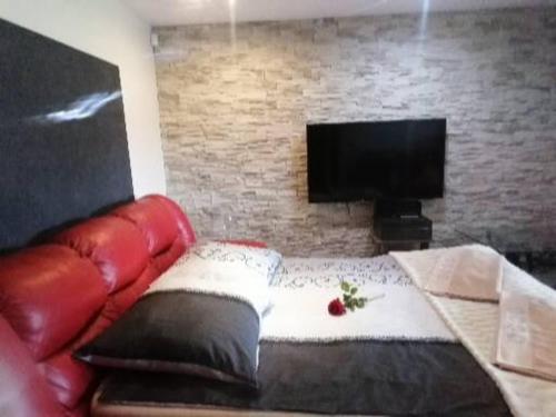 桑多梅日Willa Mateusza的客厅配有红色皮革沙发和电视