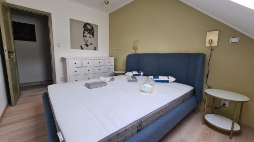 霍穆托夫The Gusto apartmán的一间卧室配有一张大床和蓝色床头板