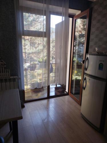 博尔若米Londa的厨房配有冰箱和滑动玻璃门