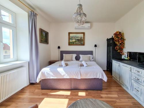 布拉格Apartmán Praha Břevnov的一间卧室配有一张大床和一个吊灯。