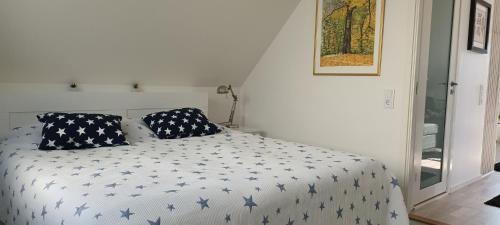 特雷勒堡Lägenhet Gislövs strandmark的一间卧室配有蓝色星光床