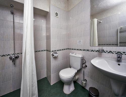 索非亚阿克德酒店的一间带卫生间和水槽的浴室