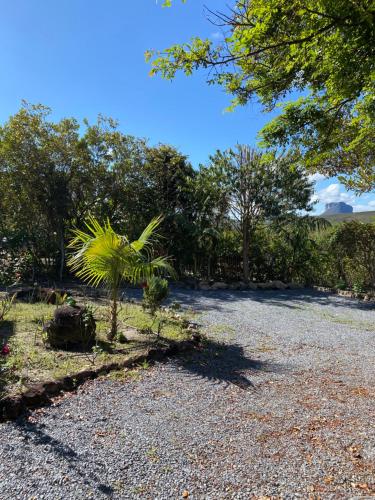 韦尔卡鲍Chalé Verde - Vale do Capão的碎石路中间的棕榈树
