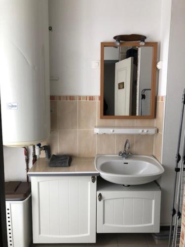 勒蒙多尔IDEAL MONTAGNE的一间带水槽和镜子的浴室