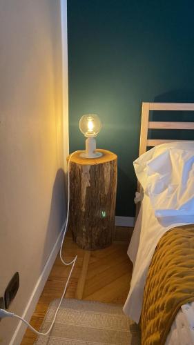 都灵La Petite Maison de la Ville的床头树 ⁇ 上的一盏灯