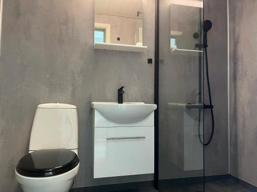 希博滕Skibotn Hotel的浴室配有卫生间、盥洗盆和淋浴。