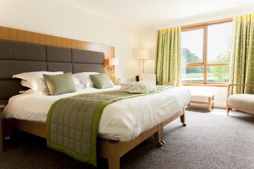 特灵钱普尼斯特林酒店的一间卧室设有一张大床和一个大窗户