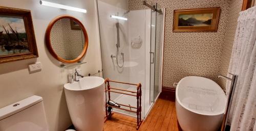PaparoaPheasant Lodge的带淋浴、卫生间和盥洗盆的浴室