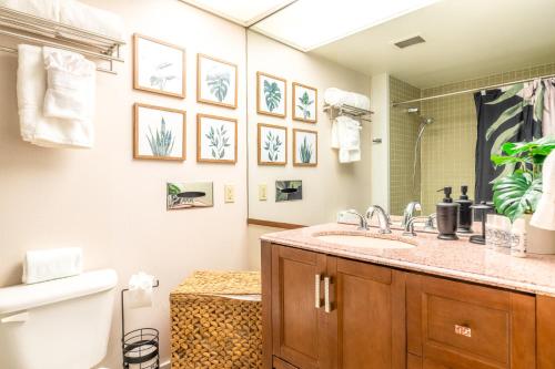 希洛Waiakea Villas 2-207的一间带水槽、卫生间和镜子的浴室
