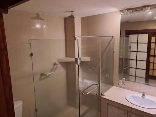 安吉利斯野兰花度假村的一间带玻璃淋浴和水槽的浴室
