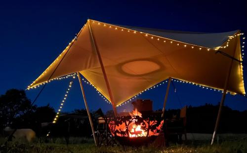 霍尼顿Hartridge Springs的夜晚在田野里放火的帐篷