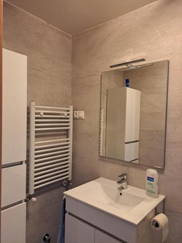 塔拉韦拉·德·拉·雷纳Tu Morada en Talavera的一间带水槽和镜子的浴室