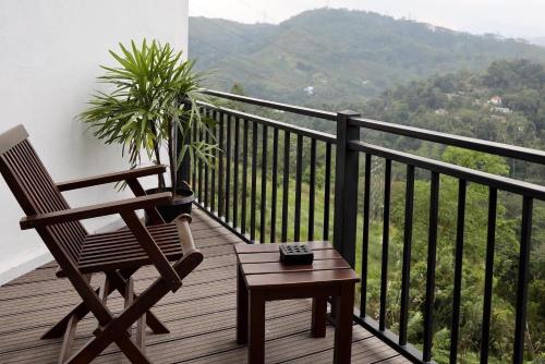 加姆波勒Riverbank Resort Gampola的种植植物的阳台的椅子和桌子