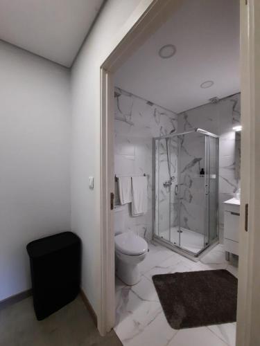Rio CaldoCasa dos Moroucinhos的白色的浴室设有卫生间和淋浴。