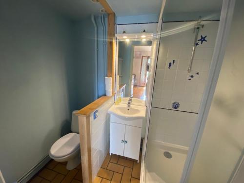 圣让-德蒙Maisonnette hameau des pins的浴室配有卫生间、盥洗盆和淋浴。