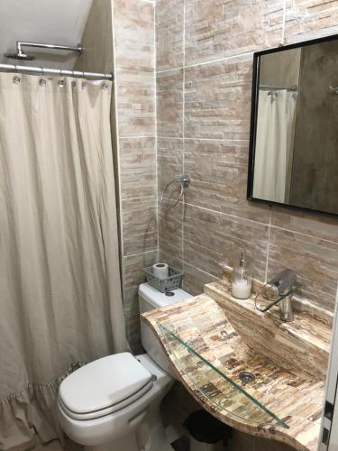 波萨达斯Wawa Estudio的一间带卫生间、水槽和镜子的浴室