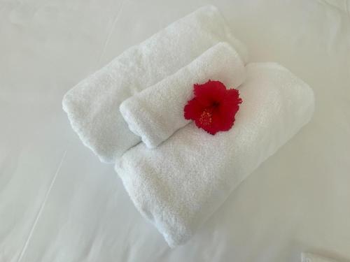 本部RIZOZAIZEN MOTOBU B的白色毛巾上装有红花