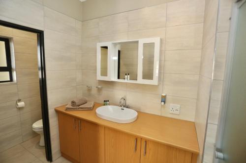 基特曼斯胡普Schuetzenhaus Guesthouse的一间带水槽、镜子和卫生间的浴室