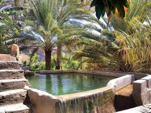 نزل حارة المسفاة Harit AL Misfah Inn内部或周边的泳池