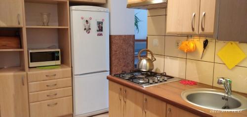 亚沃尔基Słoneczny Zakątek的厨房配有白色冰箱和水槽