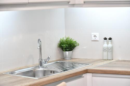 纳夫普利翁Michaela's guesthouse的厨房水槽和柜台上的盆栽植物
