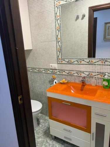 奥尔纳丘埃洛斯Alojamiento las Delicias的一间带水槽、卫生间和镜子的浴室