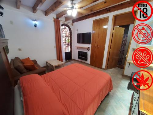 墨西哥城Villa Alfonsina的一间卧室设有一张床和一间客厅。
