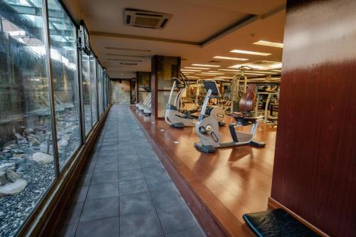 埃尔比勒艾尔比利峡谷酒店的健身房设有跑步机和椭圆机
