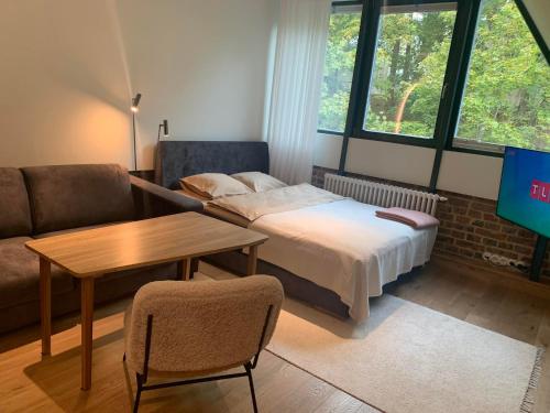 塔尔图Vallikraavi Studio Apartment的一间卧室配有一张床、一张桌子和一张沙发