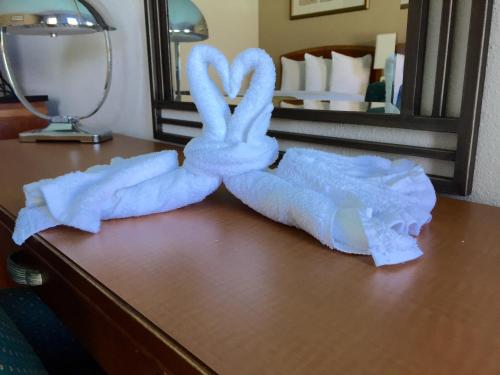 基西米佛罗里达州四季酒店的坐在酒店房间桌子上的毛巾动物
