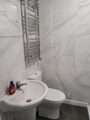 卡里克马克罗斯Rock House的白色的浴室设有卫生间和水槽。