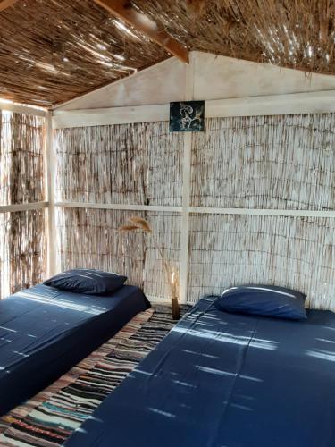 达哈布Cosmos Camp的一间设有两张蓝色床和墙壁的房间
