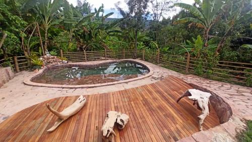 伊比科阿拉Sítio Monte Alegre的木甲板上的热水浴池,上面有动物头骨