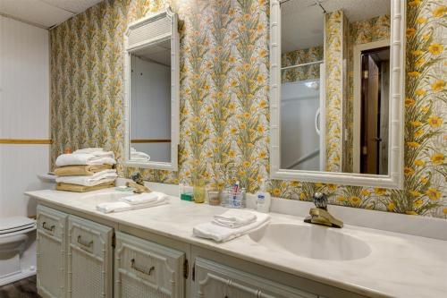 诺克斯维尔Melton Away - Knoxville/Oak Ridge的一间带水槽和两面镜子的浴室
