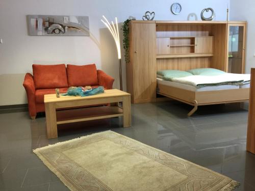 普富林根Ferienwohnung - Pfullingen - Reutlingen的客厅配有沙发和1张床