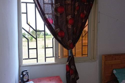 达累斯萨拉姆Beach House in Kigamboni Dar es Salaam的窗前有窗帘的窗户