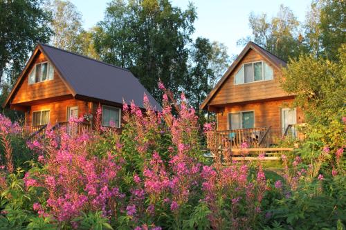 塔尔基特纳Susitna River Lodging, Riverside Cabins的花丛中间的房子