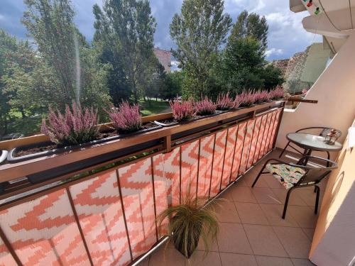 耶莱尼亚古拉Apartament Luxusowe Karkonosze的墙上有盆栽植物的阳台