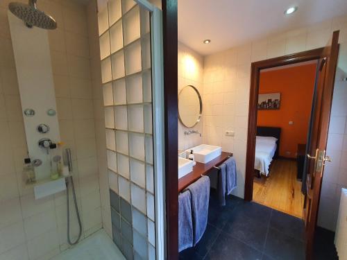 潘普洛纳Teo的带淋浴、盥洗盆和镜子的浴室