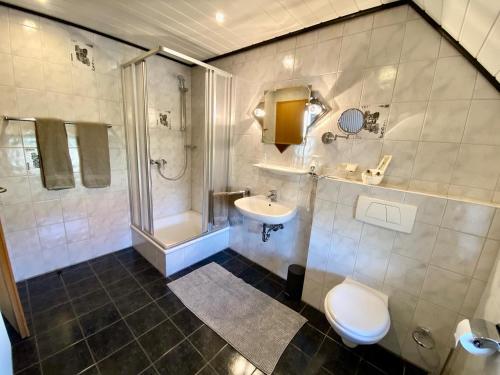 布伦Almehof Thöne的浴室配有卫生间、盥洗盆和淋浴。