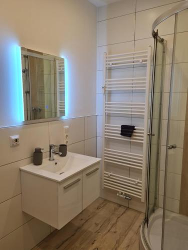 巴特罗森菲尔德Ferienwohnung am Kurpark的白色的浴室设有水槽和淋浴。