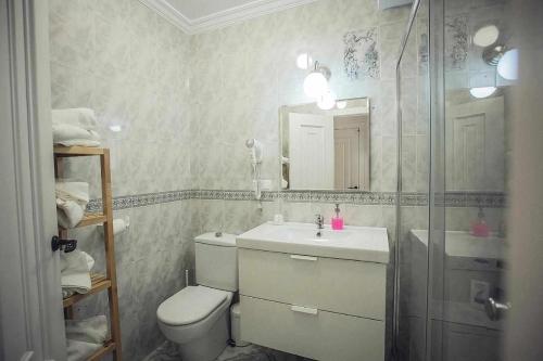 乌贝达Apartamento Picual Tranquilo y bien ubicado的一间带卫生间、水槽和镜子的浴室