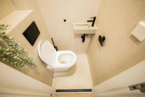 鹿特丹Admiringly 1 Bedroom Serviced Apartment 56m2 -NB306A-的一间带卫生间和水槽的小浴室