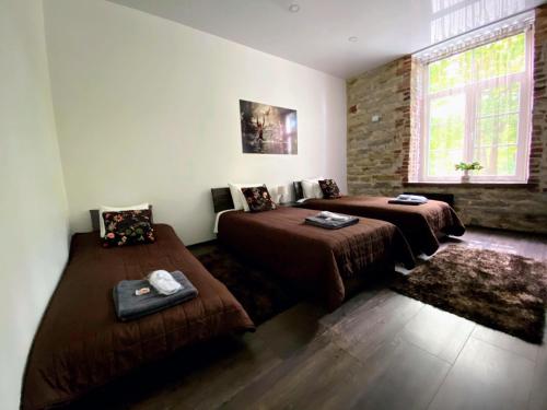 拉克韦雷Vabriku 6 Apartment with sauna的一间卧室设有两张床、一张沙发和一个窗口