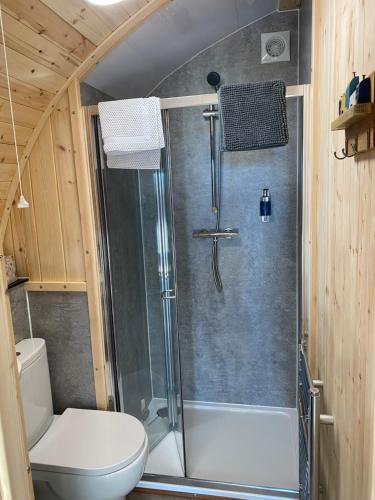 邓弗里斯Craigend Farm Holiday Pods - The Woolly Sheep的带淋浴和卫生间的浴室
