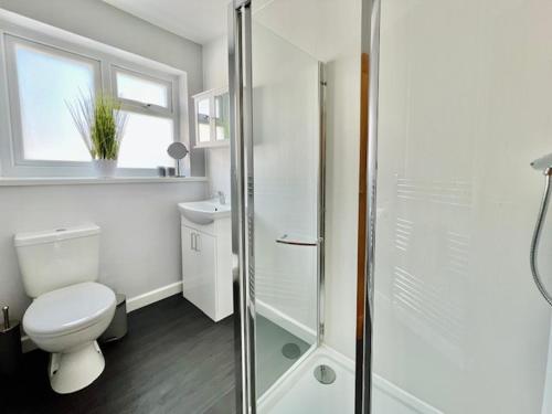布里克瑟姆Knick Knack - 10 Minutes Stroll from Brixham Harbour的一间带卫生间和玻璃淋浴间的浴室