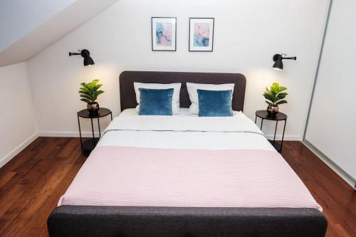 维尔纽斯#stayhere - Spacious Luxury Town Hall 3BDR Apartment的一间卧室配有一张带蓝色枕头的大床