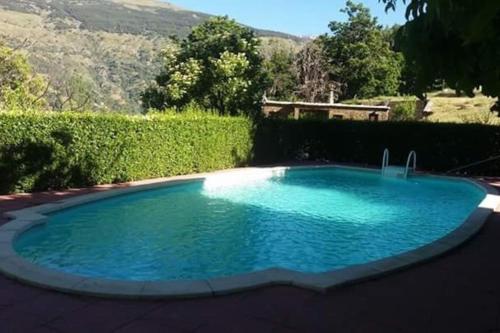 卡皮雷拉Los Castaños, Vivienda Rural, Capileira的院子里的大型蓝色游泳池