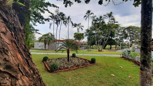 里贝朗普雷托Itaygua Hotel的公园里花园中的棕榈树